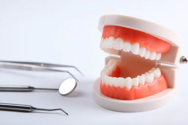 آخرین رتبه قبولی در دندان پزشکی اردبیل 1400-1401 | فاروس طاها